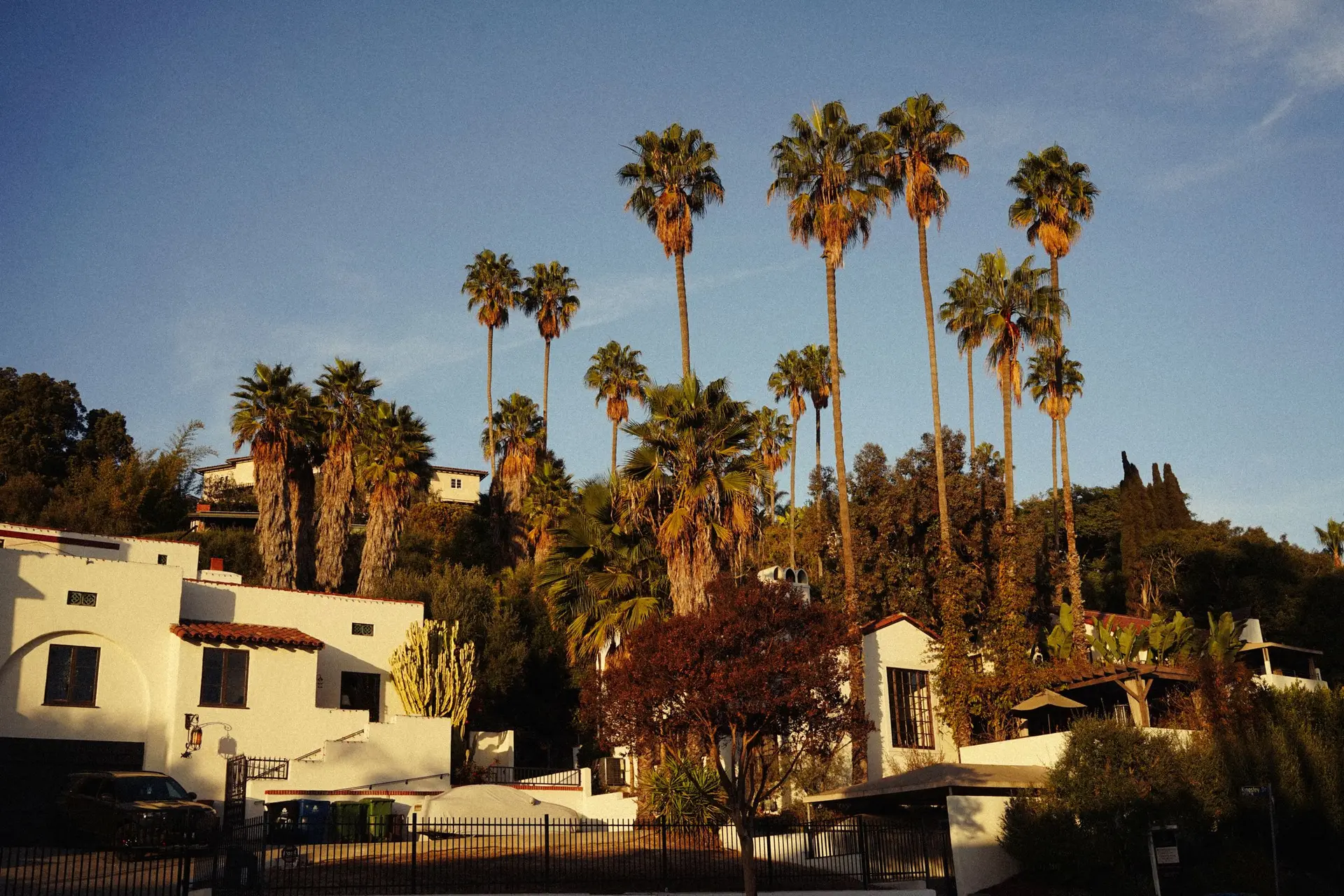 Spanish style stucco houses under tall palm trees at sunset